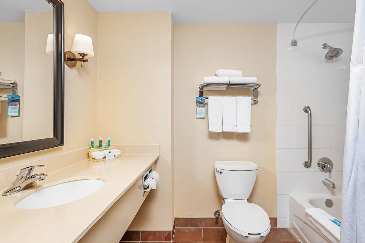Un baño de hotel con lavamanos, inodoro y ducha.