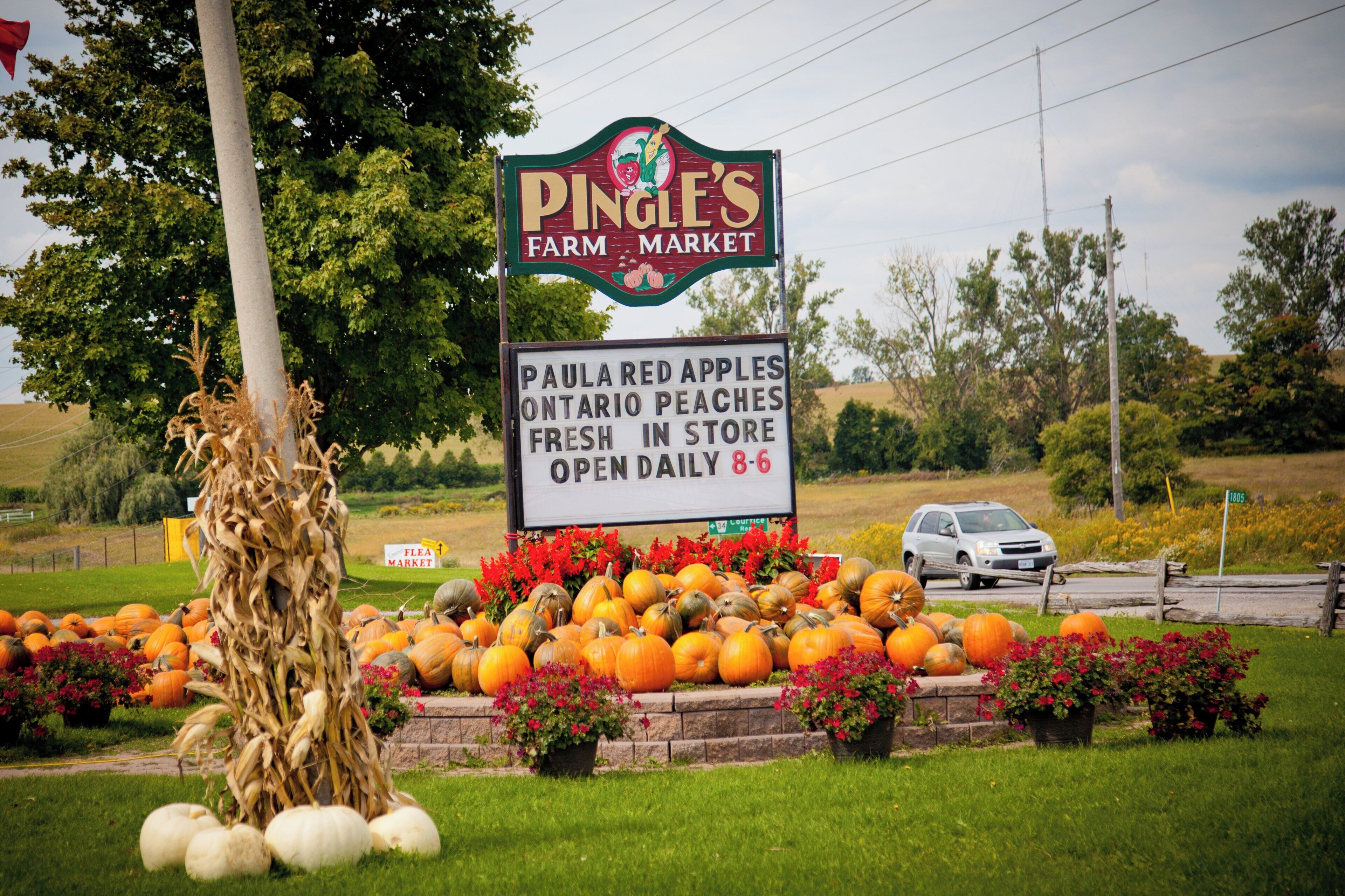 Foto - Holiday Inn Express Hotel & Suites Clarington   Bowmanville, An Ihg