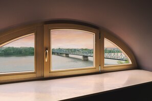 Executive Suite | View from room