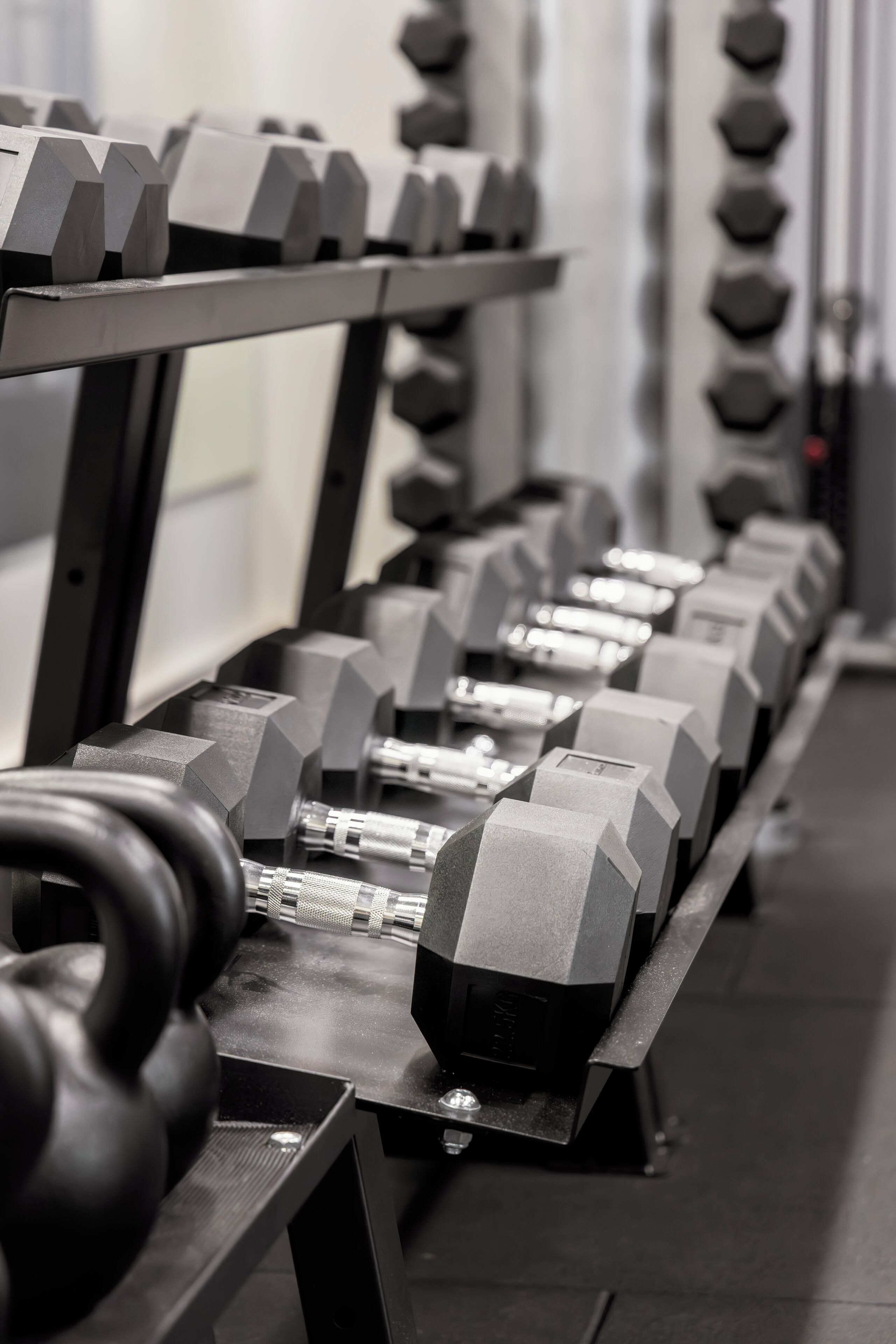 A row of dumbbells on a rack in a gym.