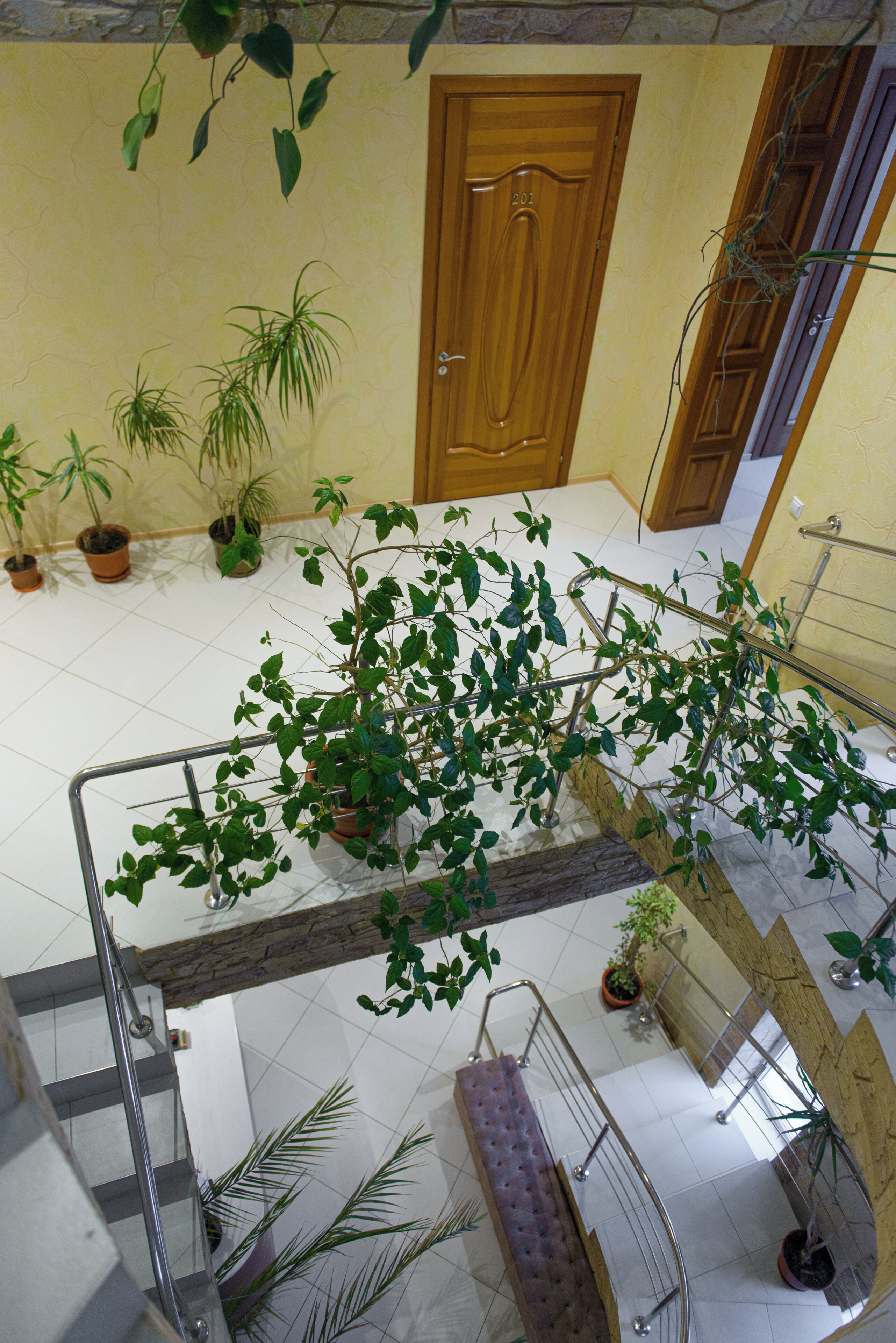 Un espace intérieur à plusieurs niveaux, doté d’un escalier, de plantes en pot et d’une porte en bois.