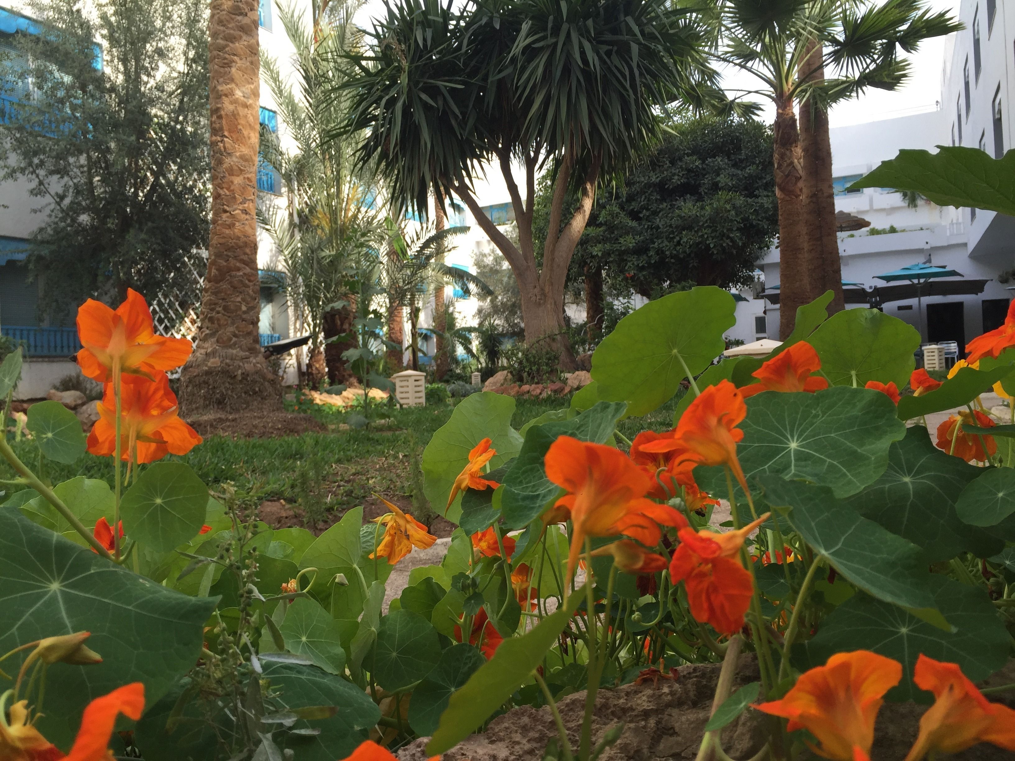 Photo - Hotel La Residence Hammamet