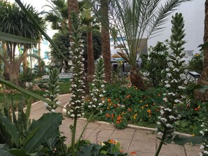 A garden with various plants and flowers, including white and orange blooms, and palm trees. - Residence Hammamet (Hammamet)