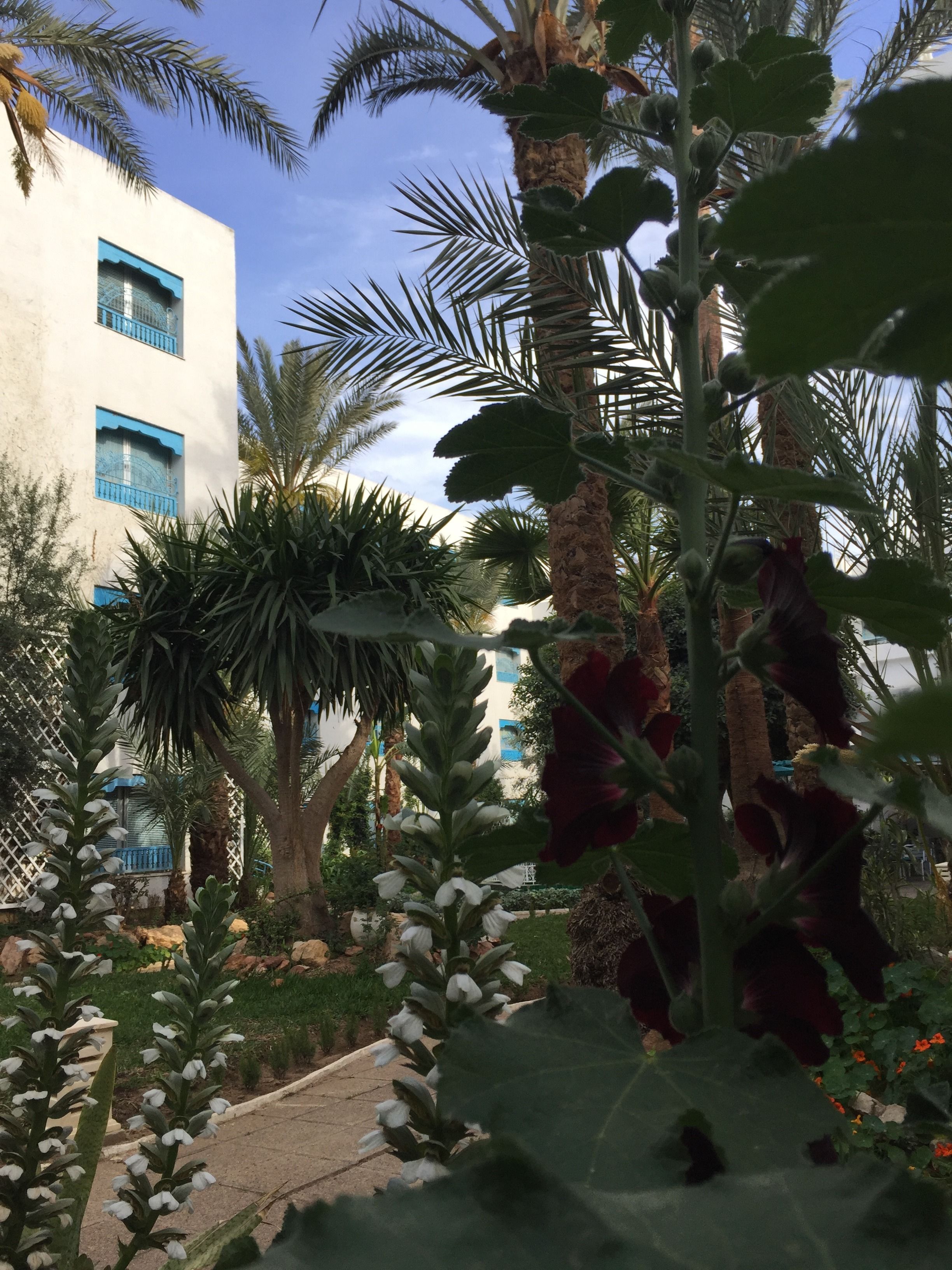 Photo - Hotel La Residence Hammamet