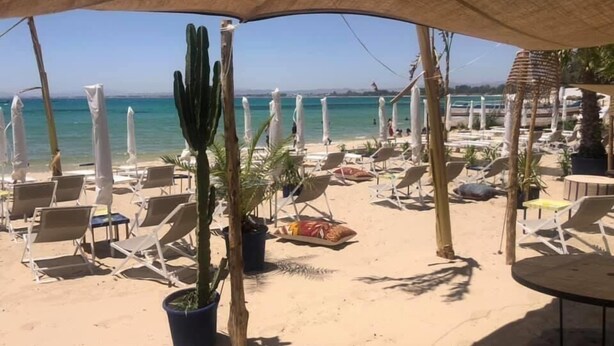 A beachside area with sun loungers, umbrellas, and a cactus plant. - Residence Hammamet (Hammamet)
