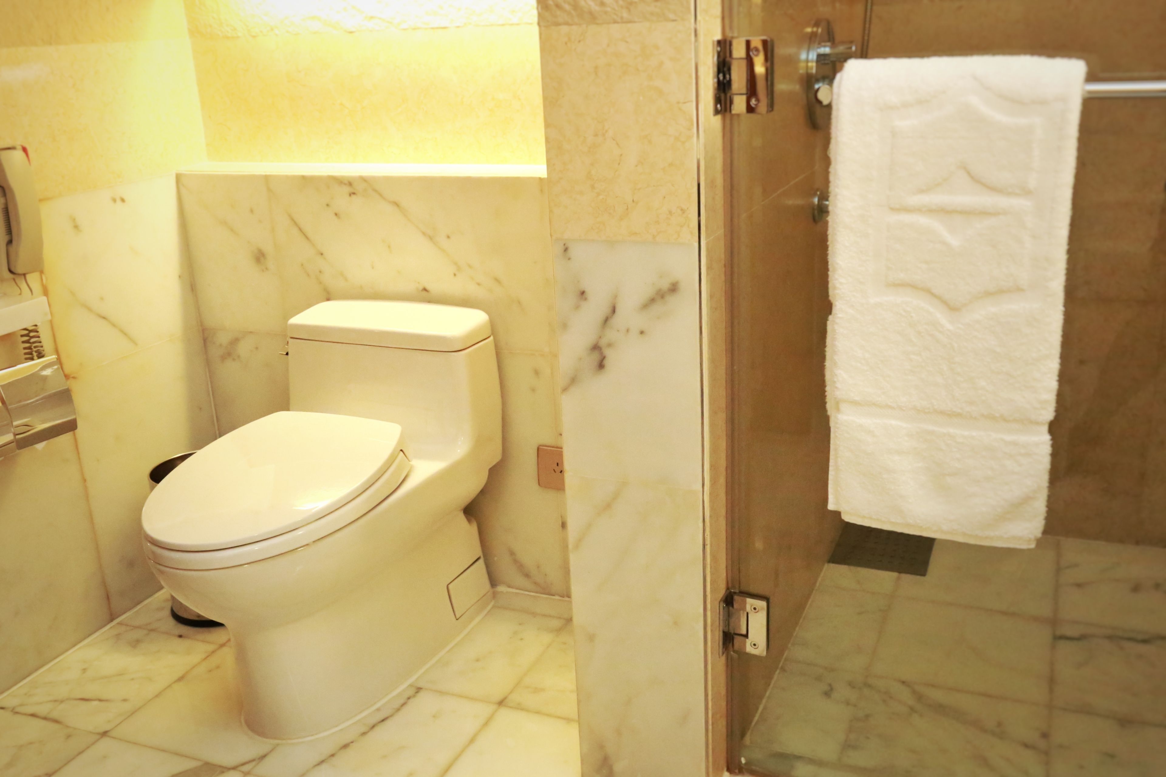 Een badkamer met een toilet, een glazen douchecabine en een witte handdoek aan een rek.