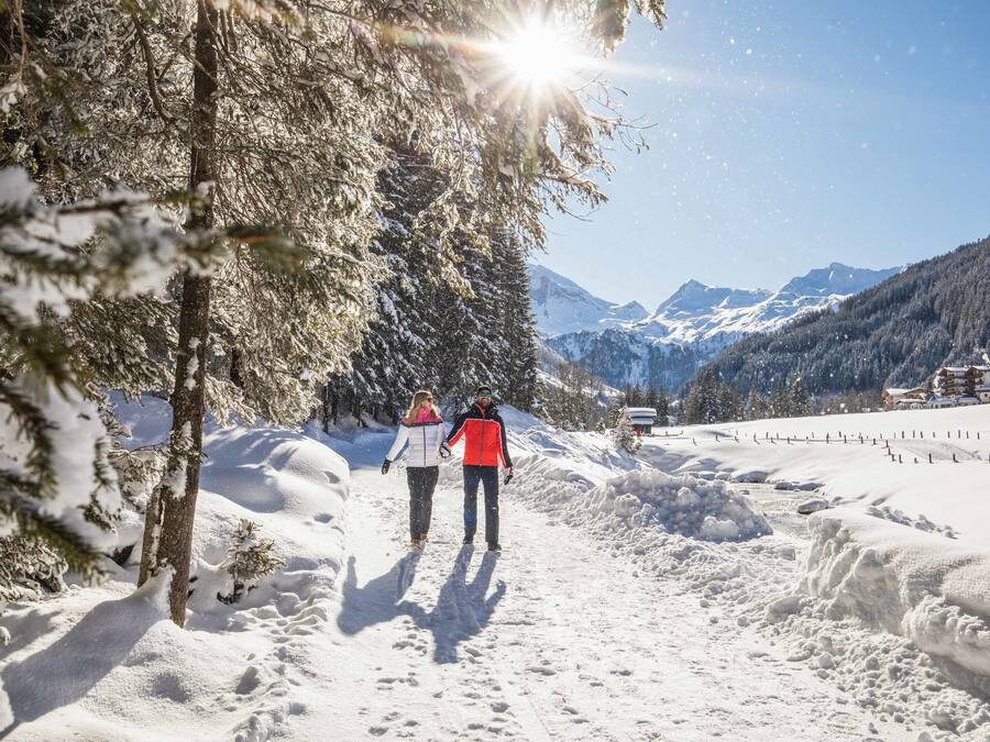 Un sendero nevado con montañas al fondo, un edificio con techo inclinado y una valla.