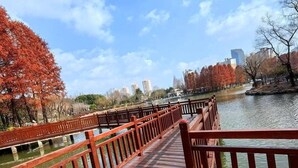 A wooden bridge over a calm river with autumn trees on either side and buildings in the background. - Regal Jinfeng Hotel (Shanghai)