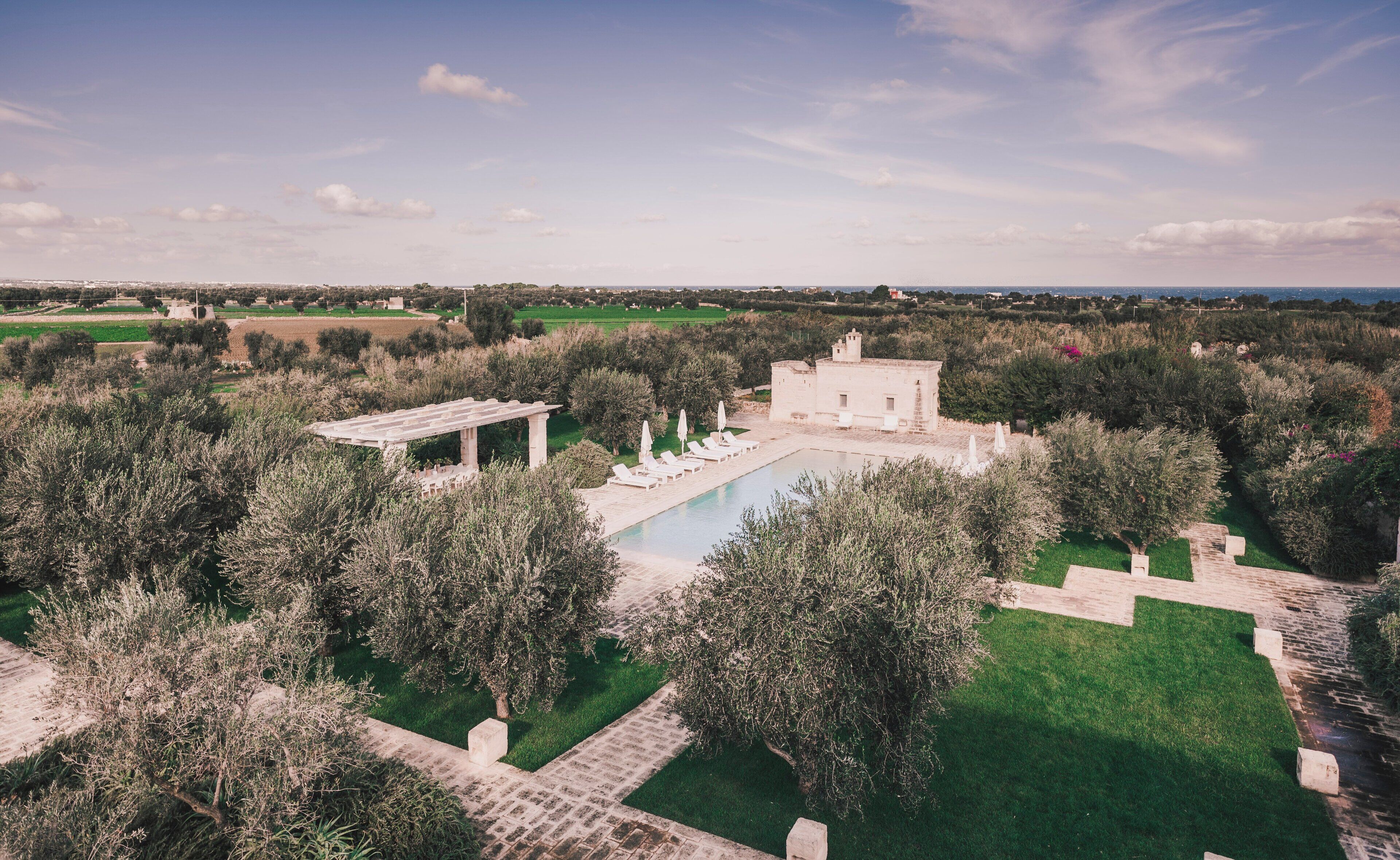 A villa with a swimming pool, surrounded by lush greenery and olive trees.