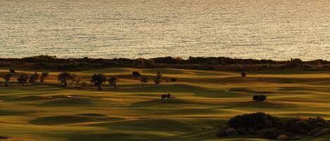 A golf course with a view of the ocean at sunset.