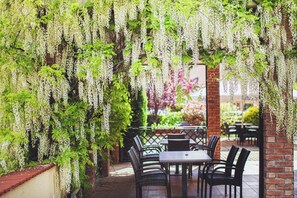 Un patio al aire libre con mesas y sillas, cubierto por una marquesina de flores blancas colgantes.