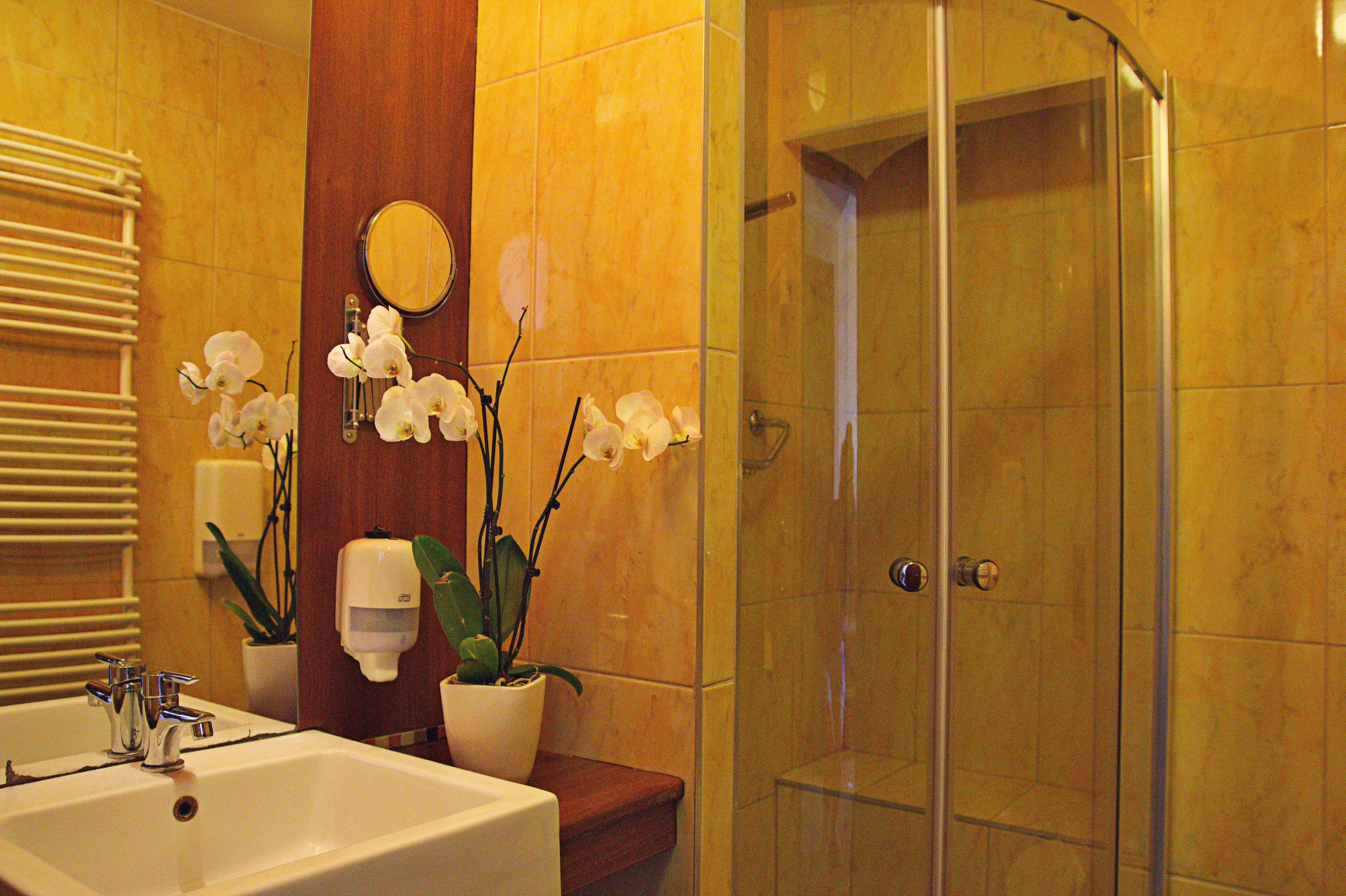 Un bagno con lavandino, specchio, orchidee in vaso e box doccia in vetro.