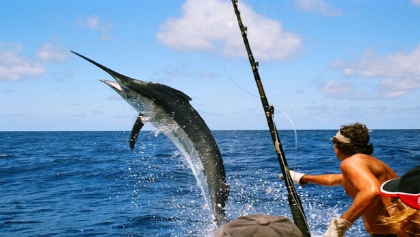 A person fishing in the ocean with a large fish jumping out of the water.