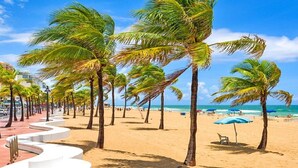 A beach with palm trees, a curved walkway, and beach umbrellas. - Crowne Plaza Hotel Fort Lauderdale Airport/Cruiseport by IHG (Fort Lauderdale)