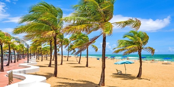 Une plage bordée de palmiers, une promenade sinueuse et des parasols de plage.