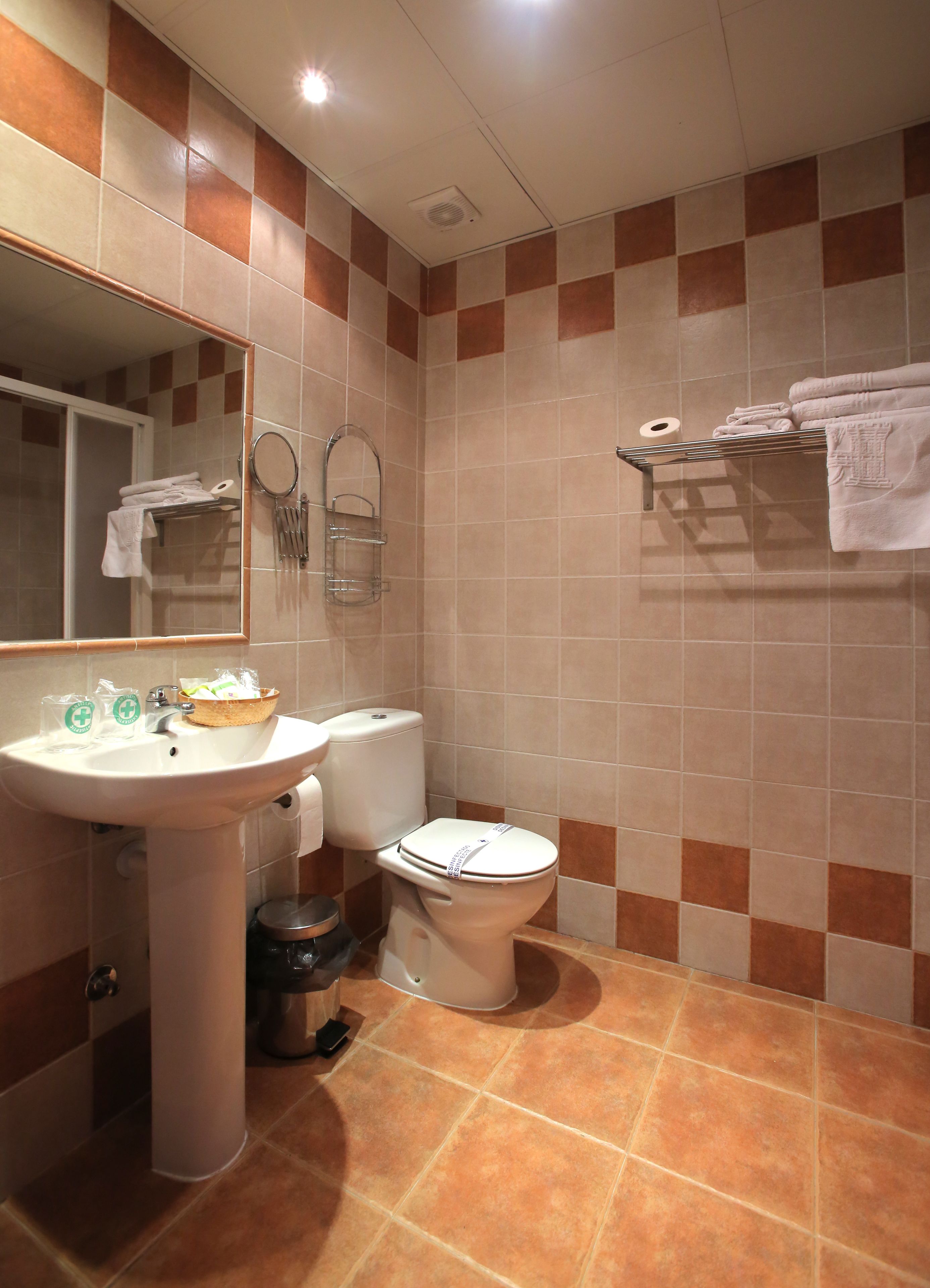combined shower/bathtub, free toiletries, hair dryer, towels