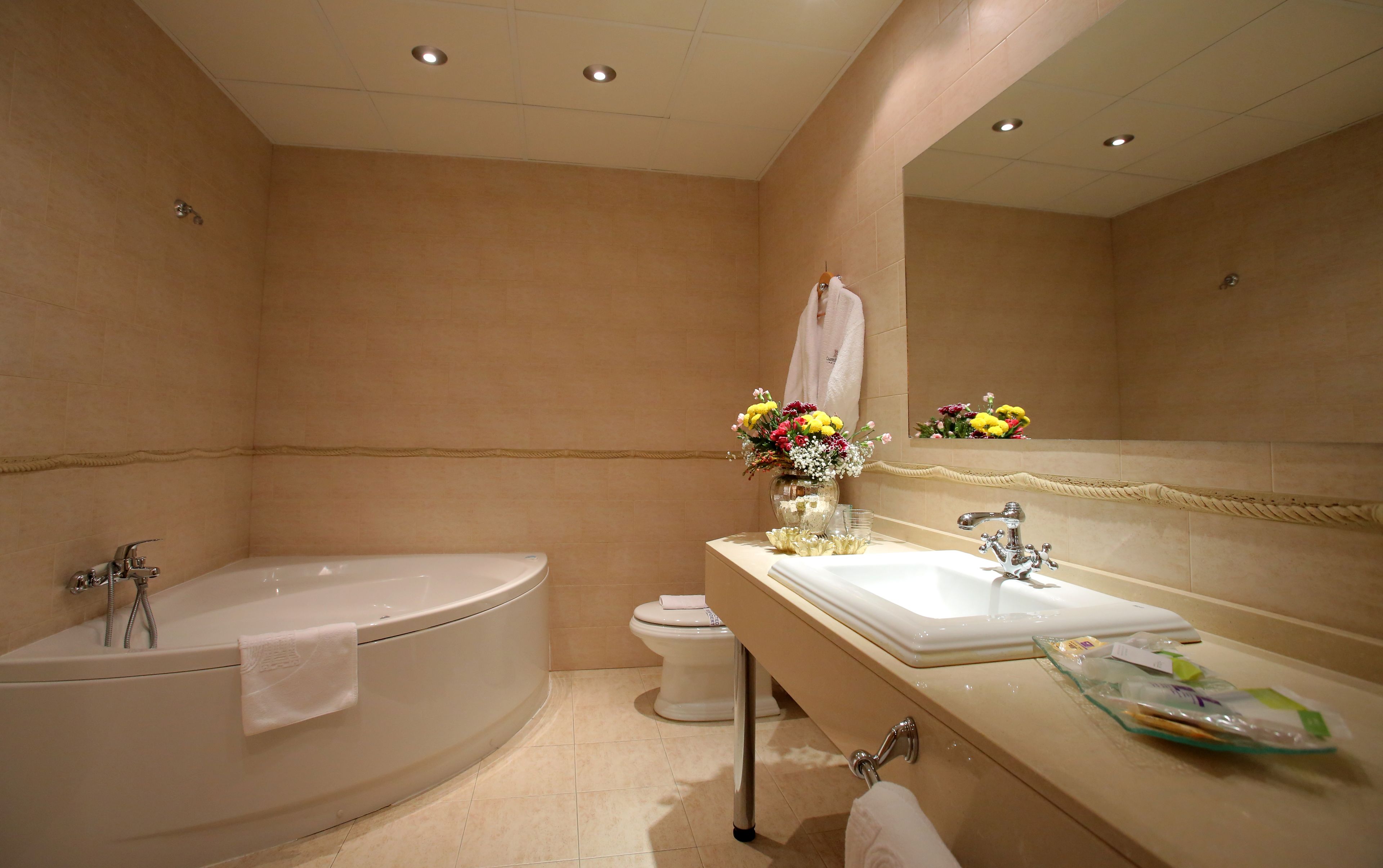suite | bathroom | combined shower/bathtub, free toiletries, hair dryer, towels
