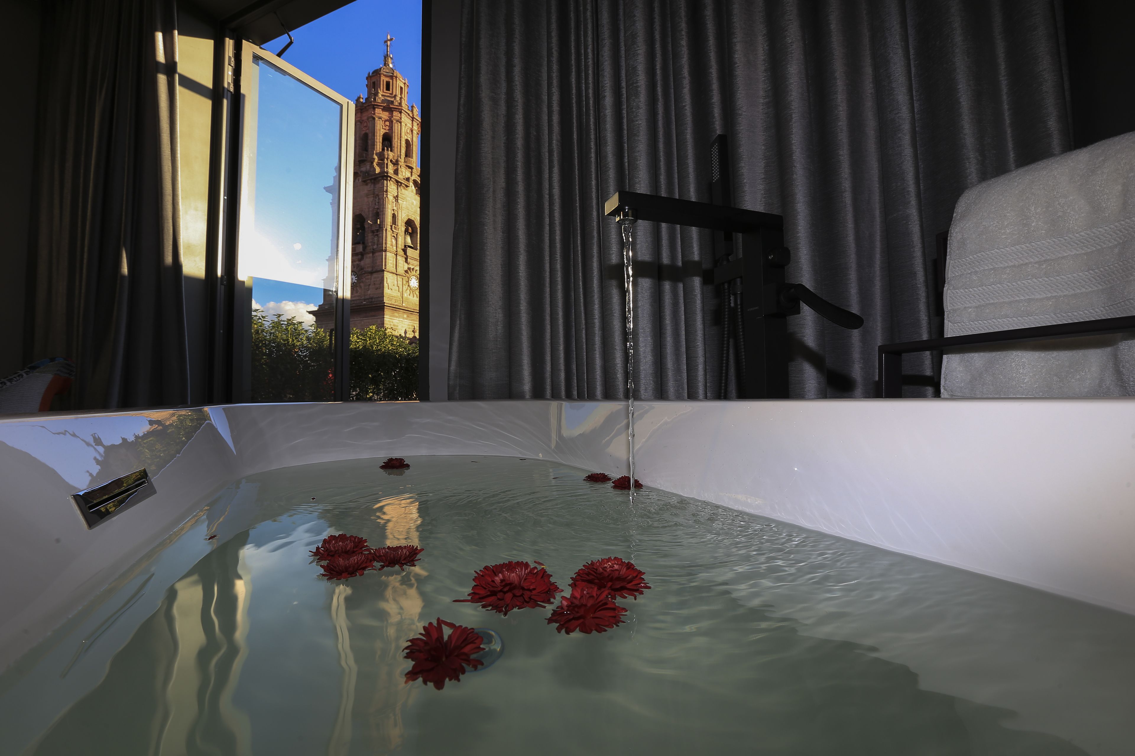 suite | view from room