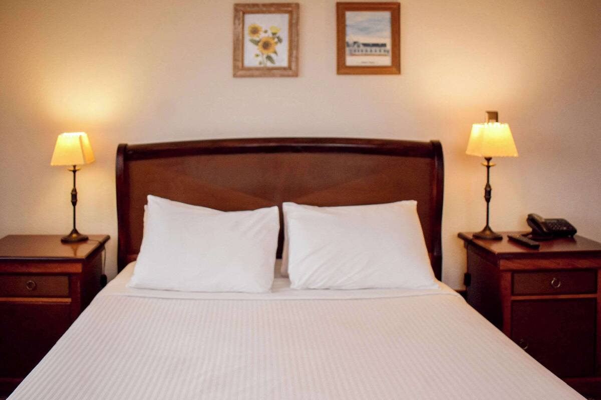 room, 1 queen bed, non smoking | 1 bedroom, minibar, in-room safe, free wifi