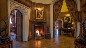 A grand room with a fireplace, wooden paneling, and a portrait above it. - Lough Rynn Castle (Mohill)