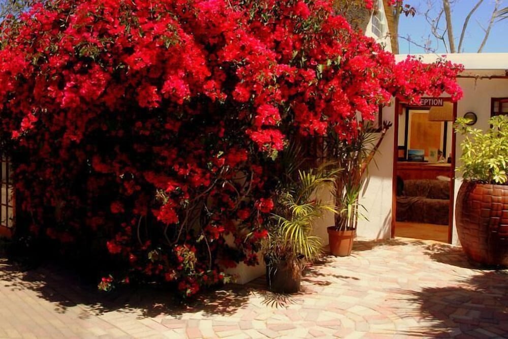 French Lodge by null