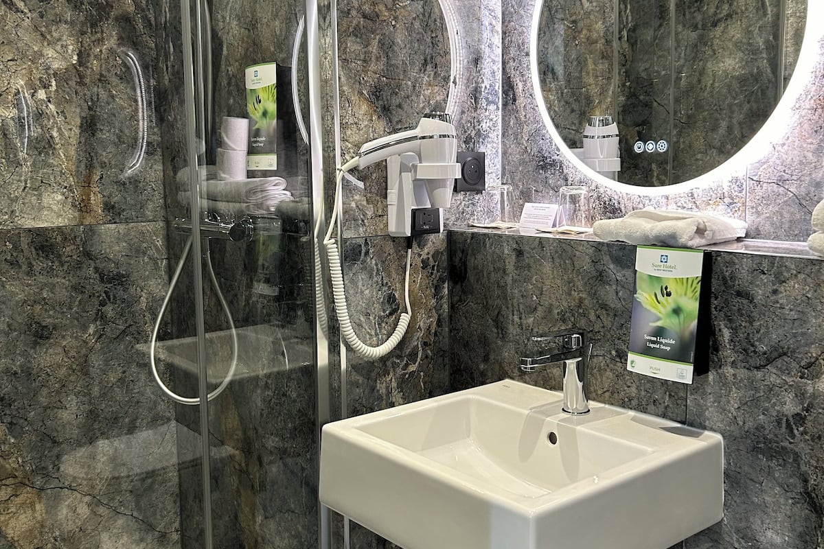 shower, free toiletries, hair dryer, towels