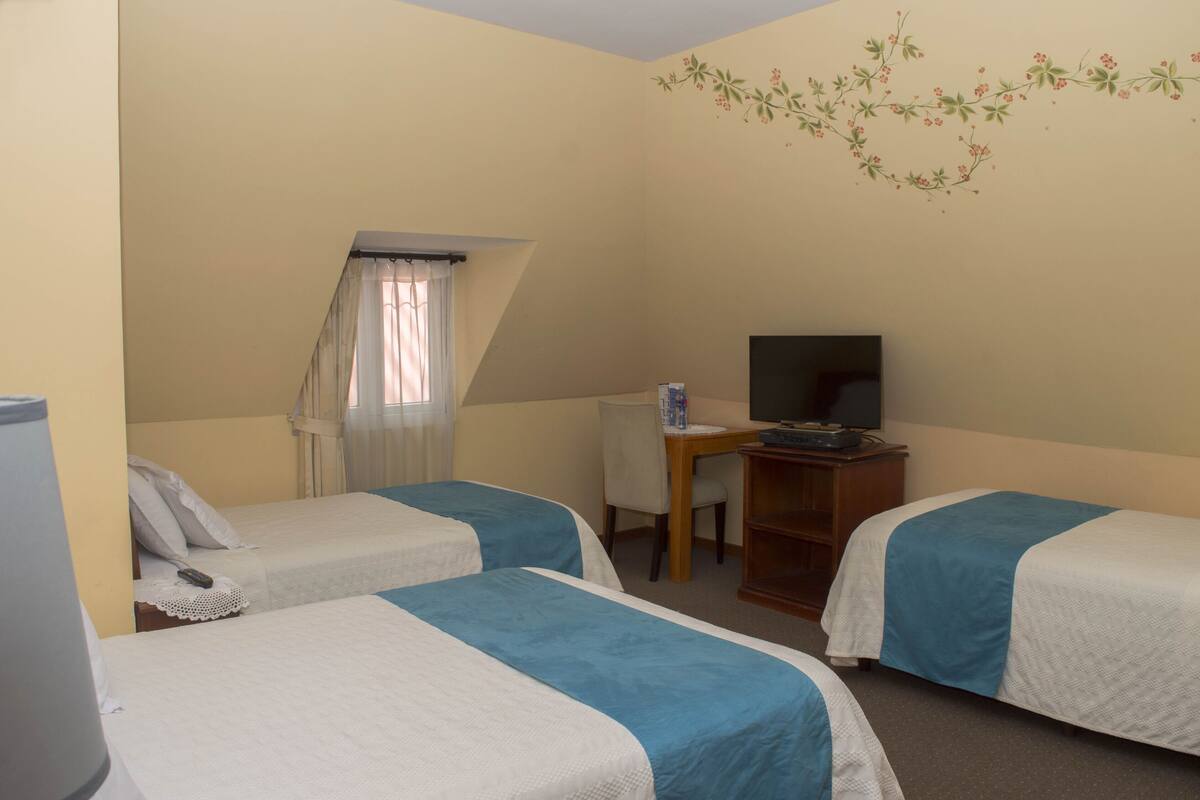 Une chambre d’hôtel avec deux lits, un bureau avec une chaise, une télévision et un mur décoratif.