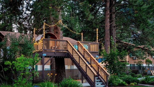Una casa sull'albero con una scala in legno, immersa nel verde e circondata da un giardino curato.