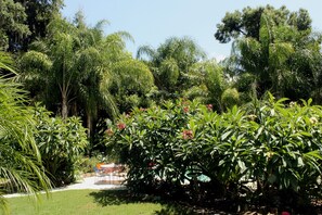 Property grounds - Heron Cay Lakeview Bed & Breakfast Inn (Mount Dora)