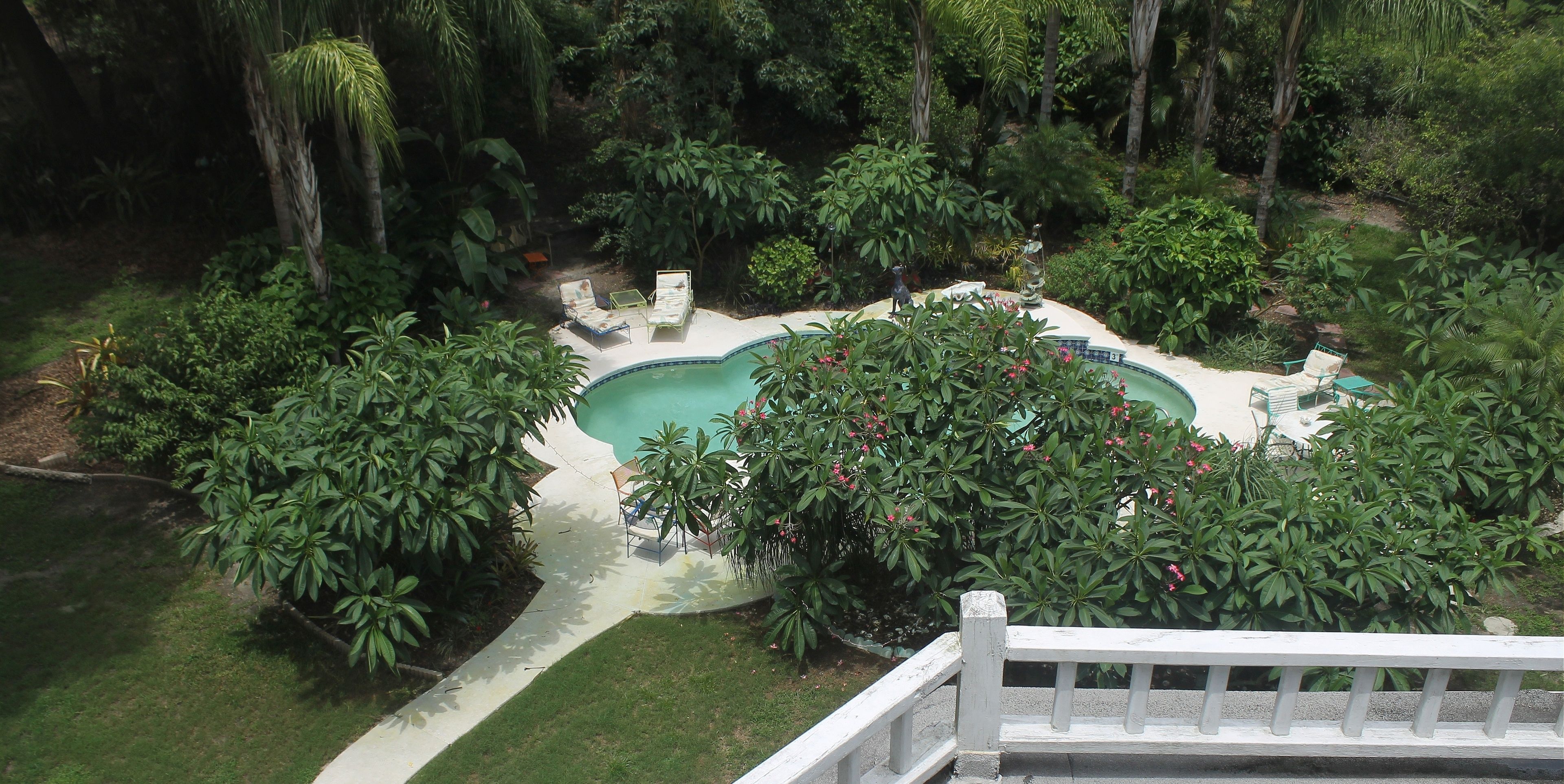 Una piscina rodeada de abundante vegetación, con una terraza blanca y sillas de descanso.
