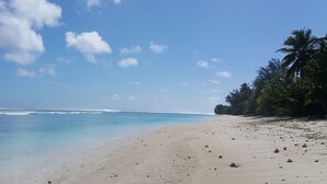 Ein Strand mit klarem, blauem Wasser, sandigem Ufer und Palmen.