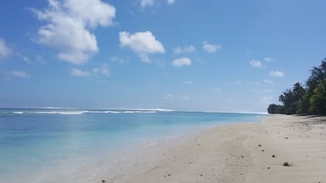 Gần bãi biển, cát trắng, khăn tắm biển