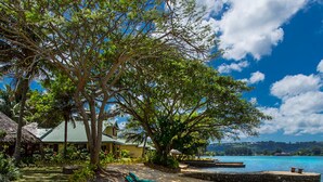 A row of kayaks lined up on a sandy beach with a clear blue sky and a house in the background. - Poppys On The Lagoon (Port Vila)