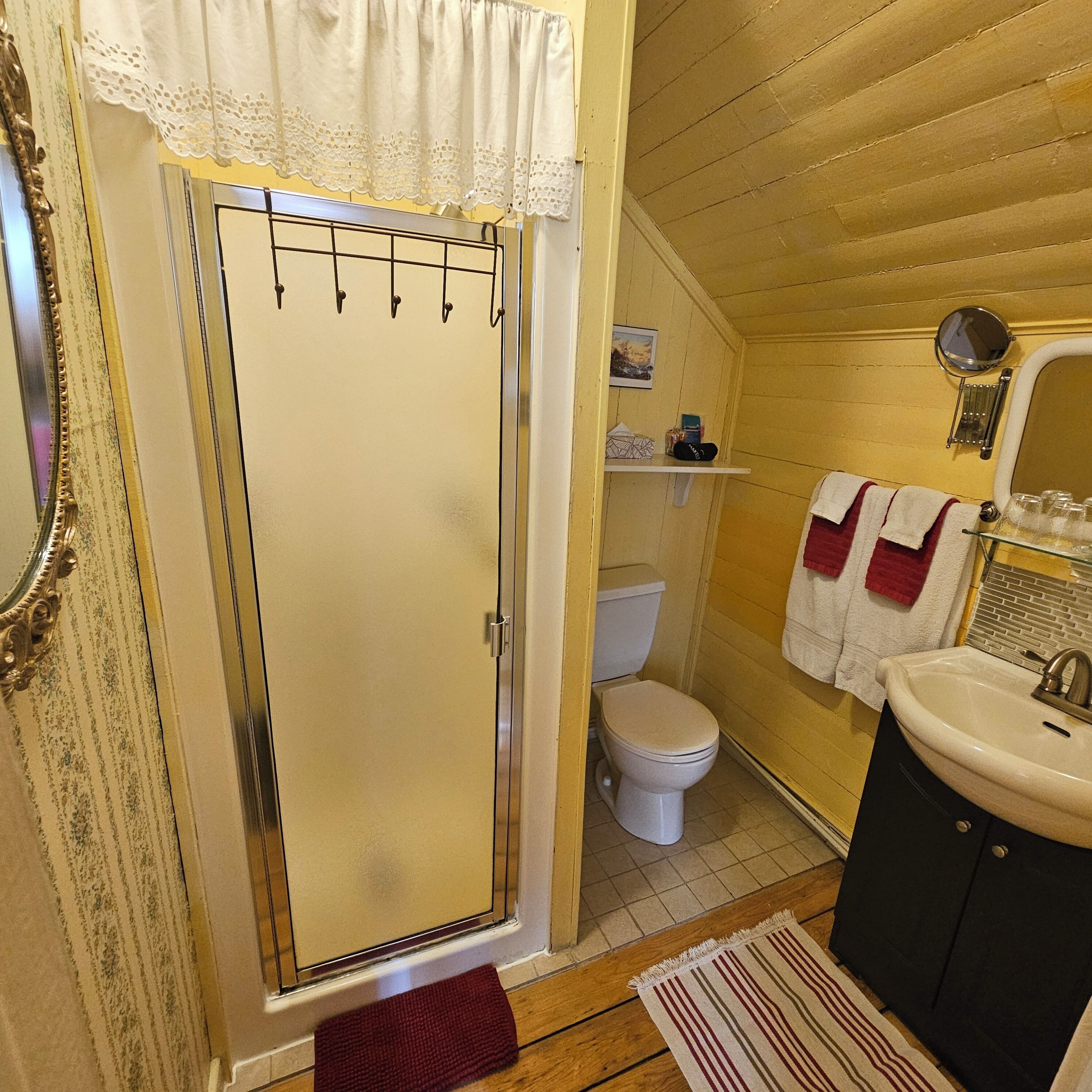 A bathroom with a shower, toilet, sink, and a mirror.
