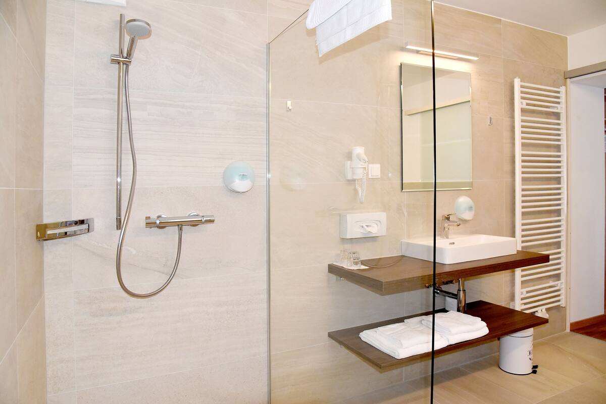 panoramic double room | bathroom shower