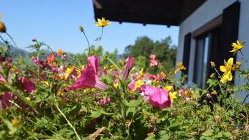 Un jardín con flores rosadas y amarillas frente a un edificio con ventanas grandes.