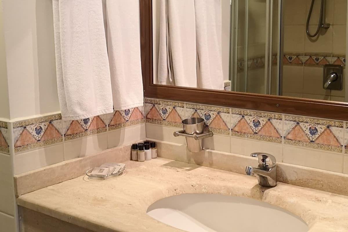 classic double or twin room | bathroom | shower, free toiletries, hair dryer, towels