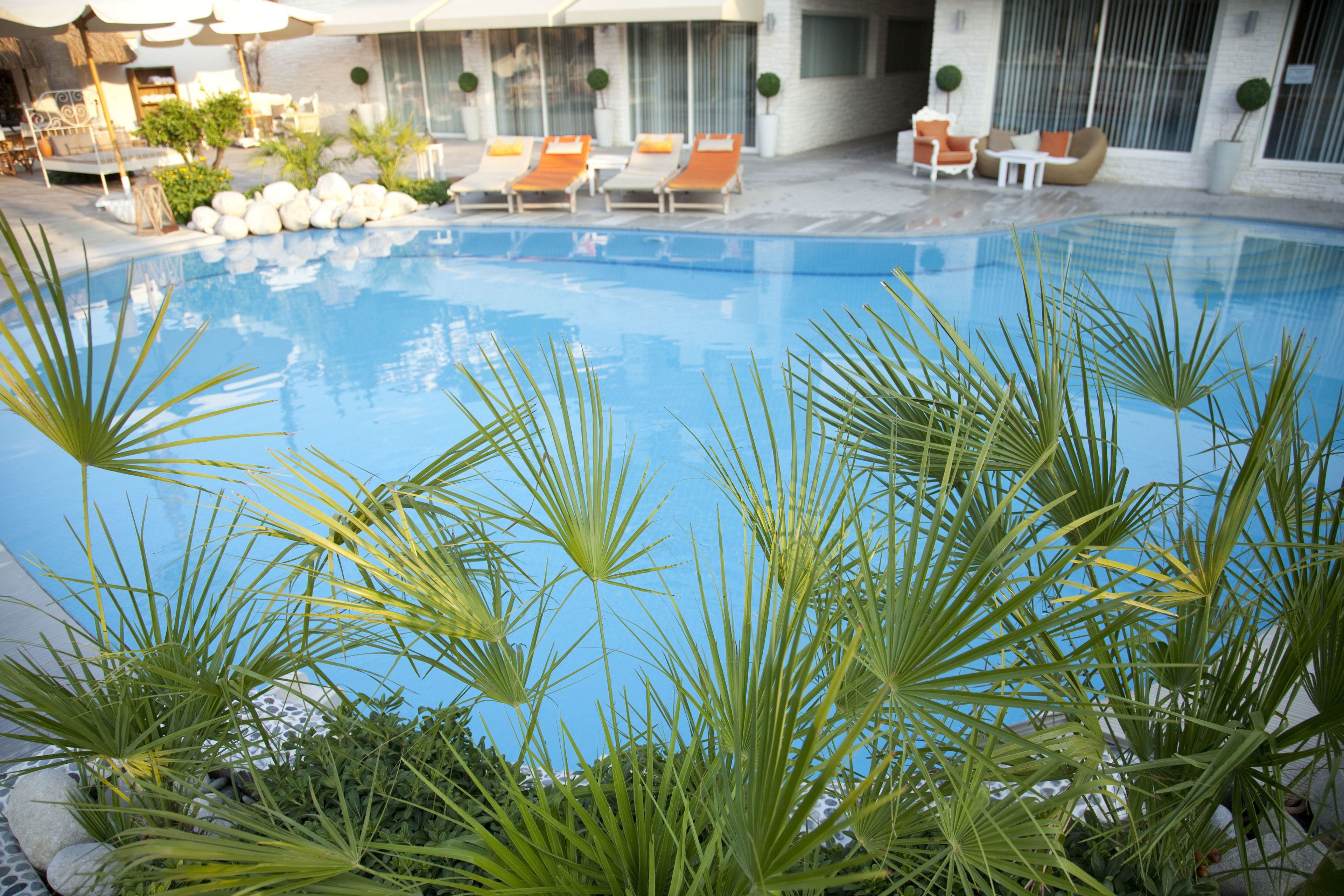 Piscina externa