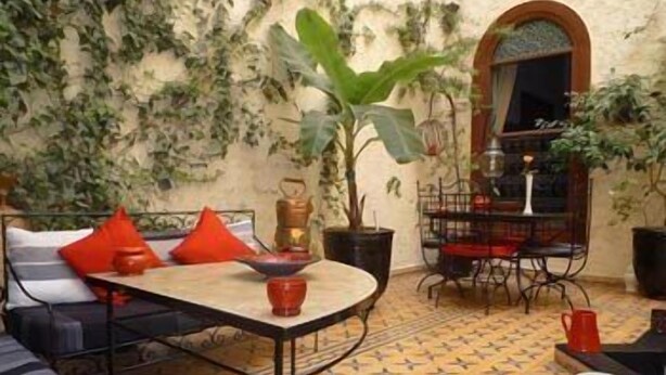 A cozy outdoor seating area with a sofa, table, and chairs, surrounded by plants and a tiled floor.