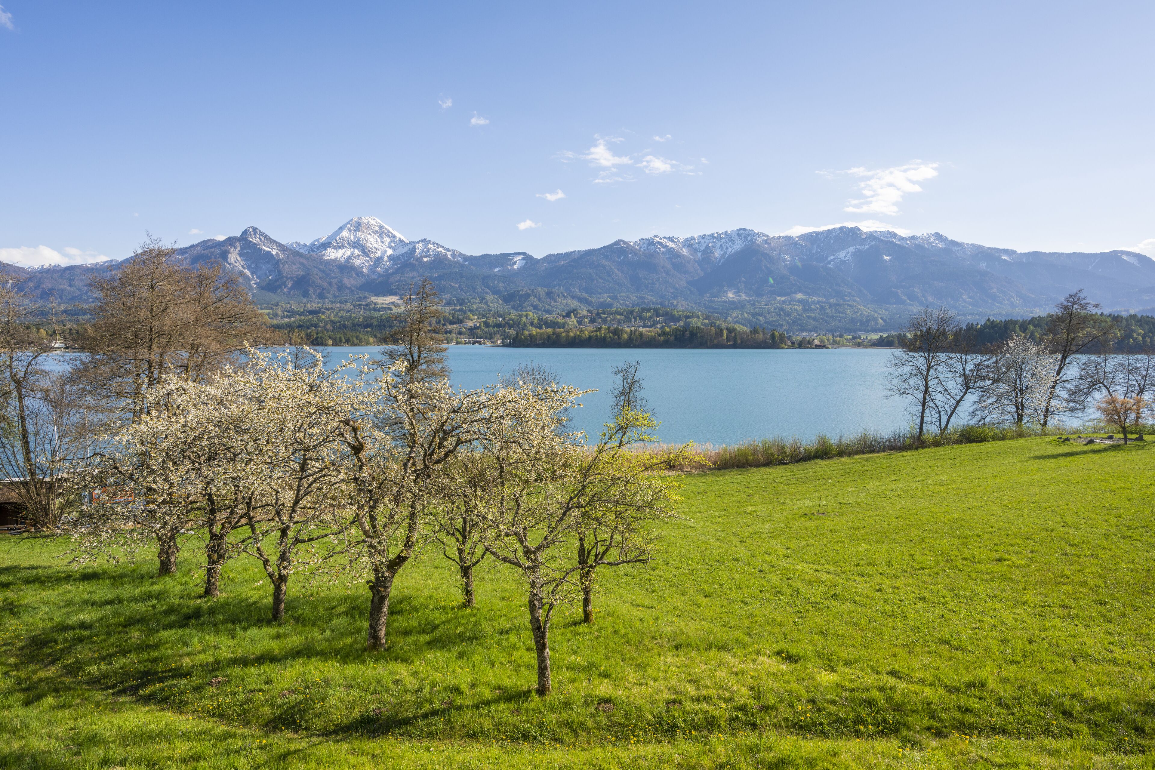 standard room (faakersee) | view from room