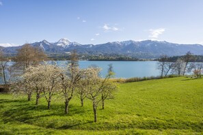A grassy field with trees and a lake with mountains in the background. - Hotel Karnerhof (Villach)