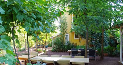 Daphne House