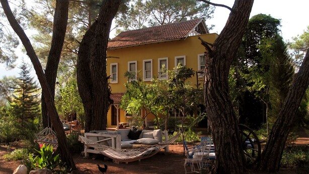 A yellow house with a tiled roof, surrounded by large trees and a hammock. - Daphne House (Kumluca)