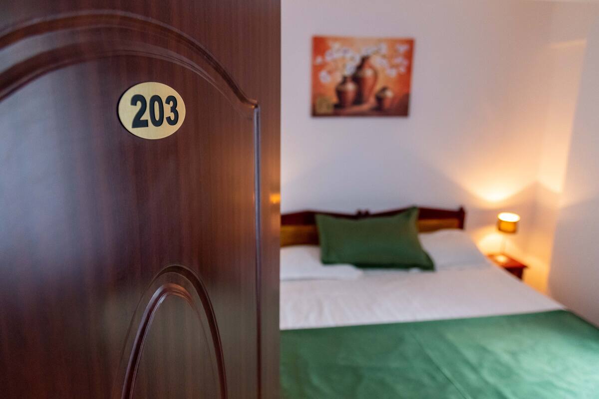 A hotel room with a wooden door marked with the number 203, a bed with green bedding, a nightstand with a lamp, and a painting on the wall.