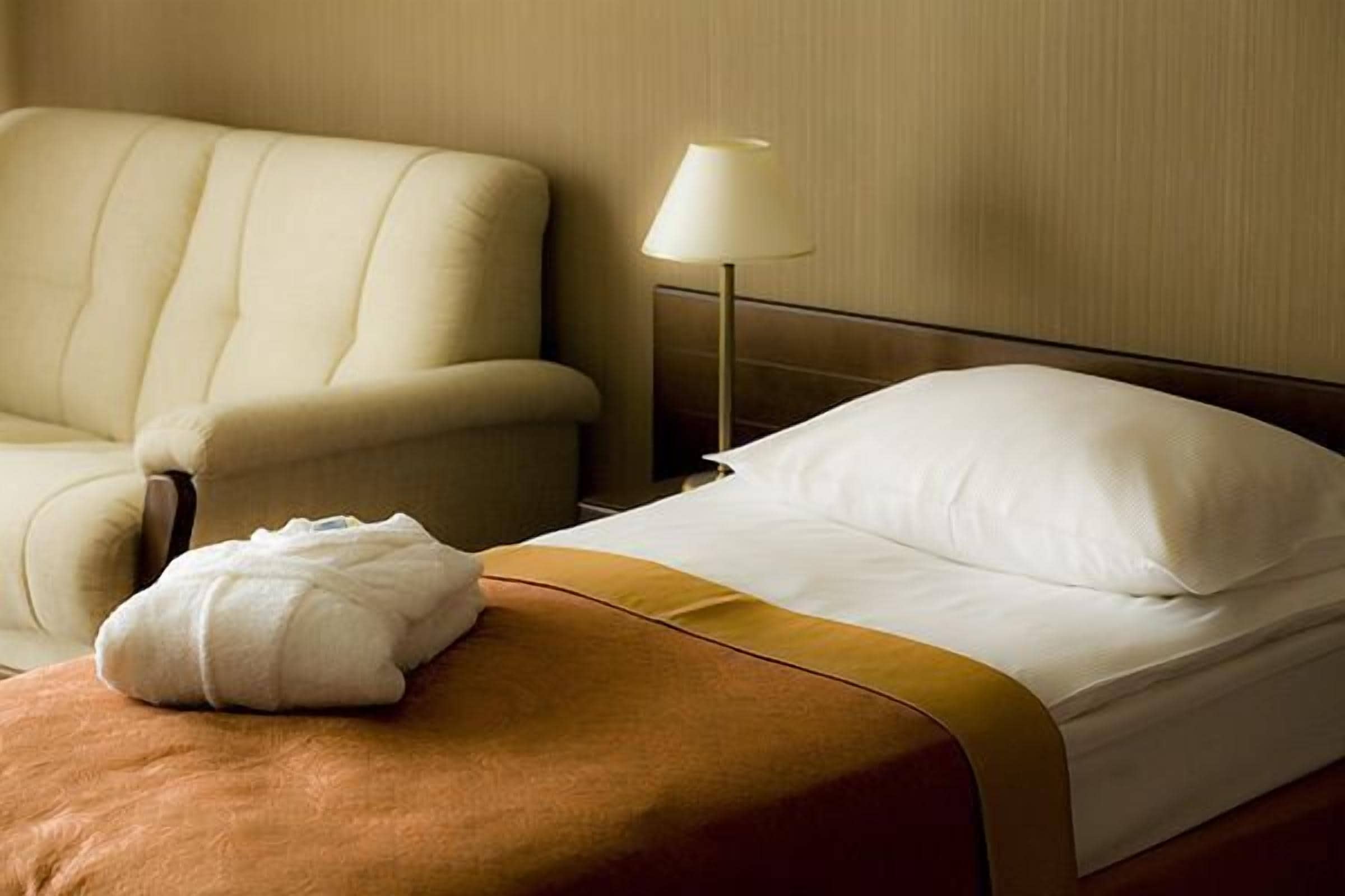 single room | minibar, in-room safe, desk, free wifi