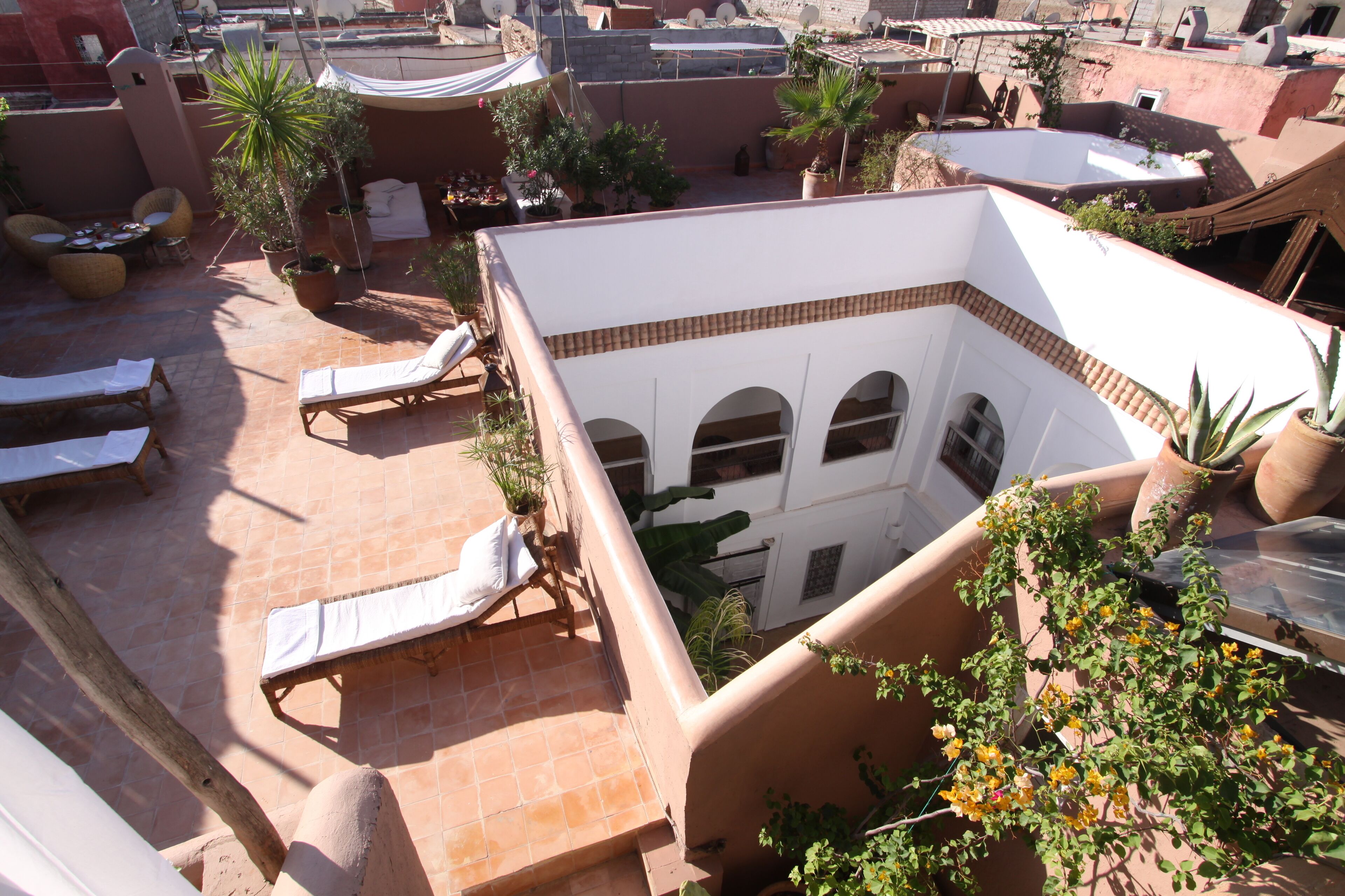 Une terrasse sur le toit, aménagée avec des chaises longues, des plantes en pot et une petite piscine.