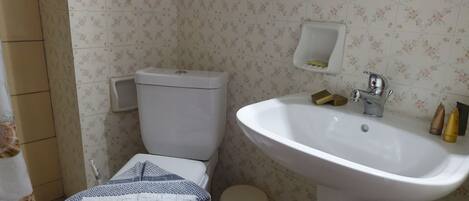 A bathroom with a toilet, sink, and a toilet paper holder.