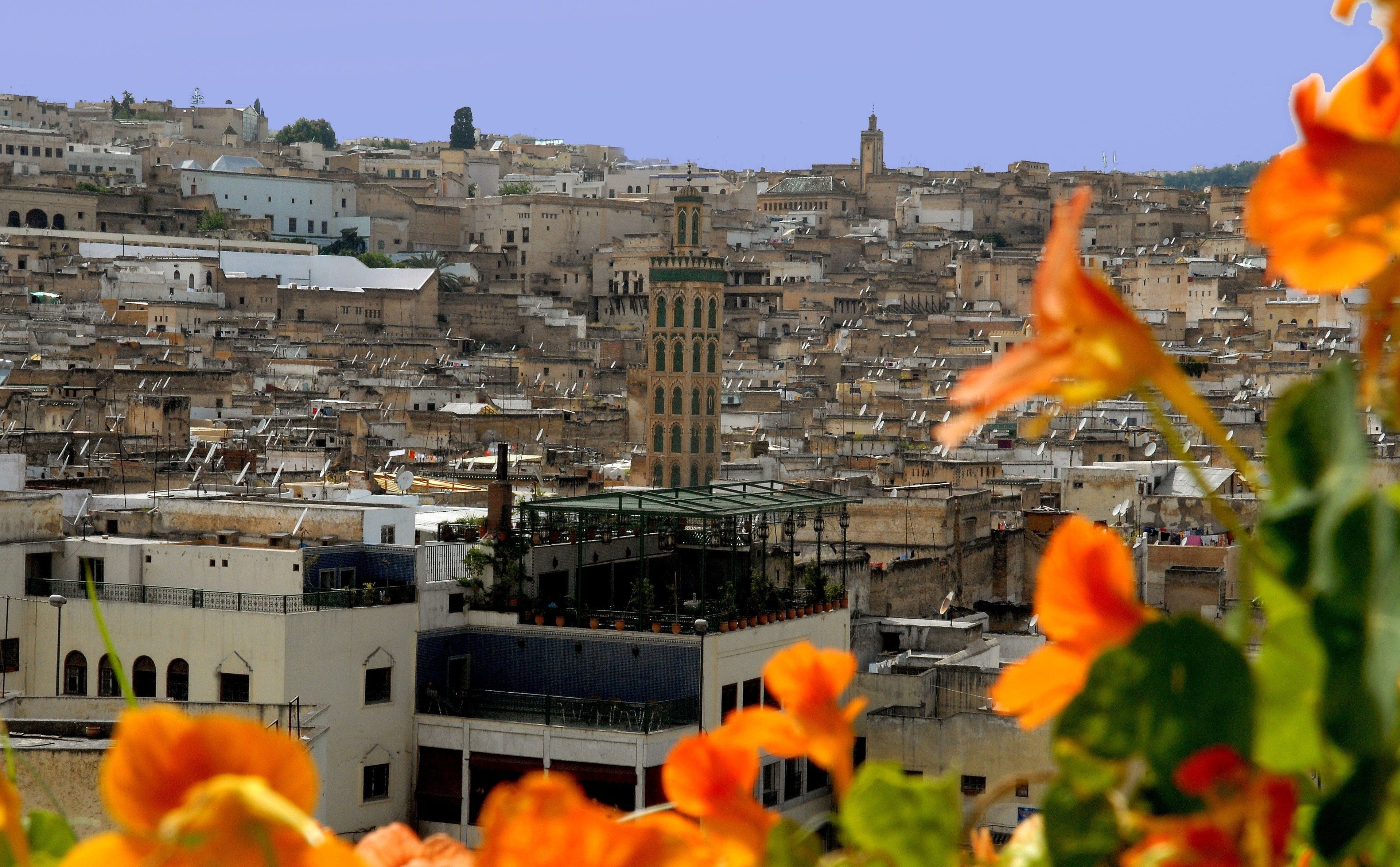 Photo - Dar Tazi - Medina View