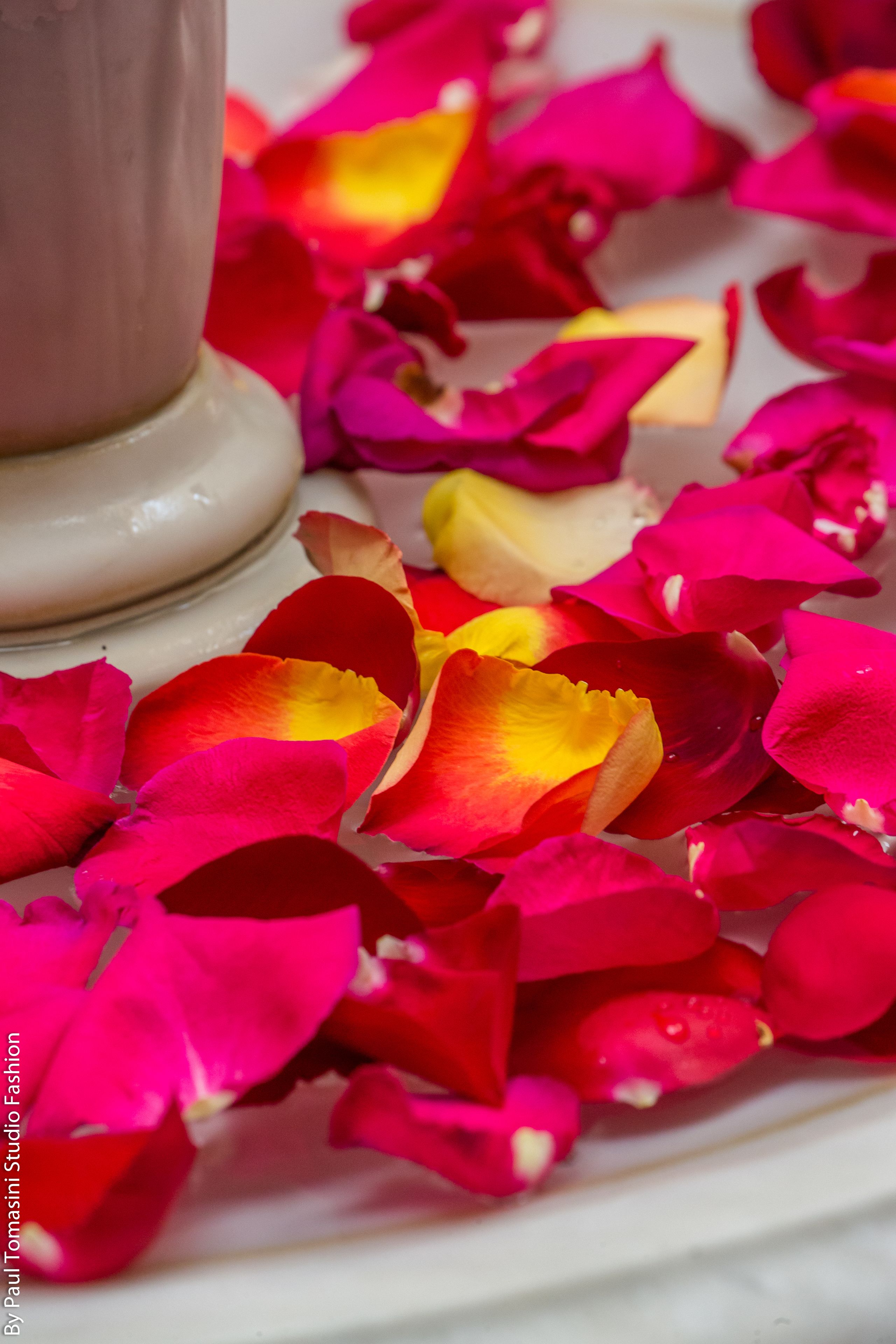 Photo - Riad La Perle De La Médina