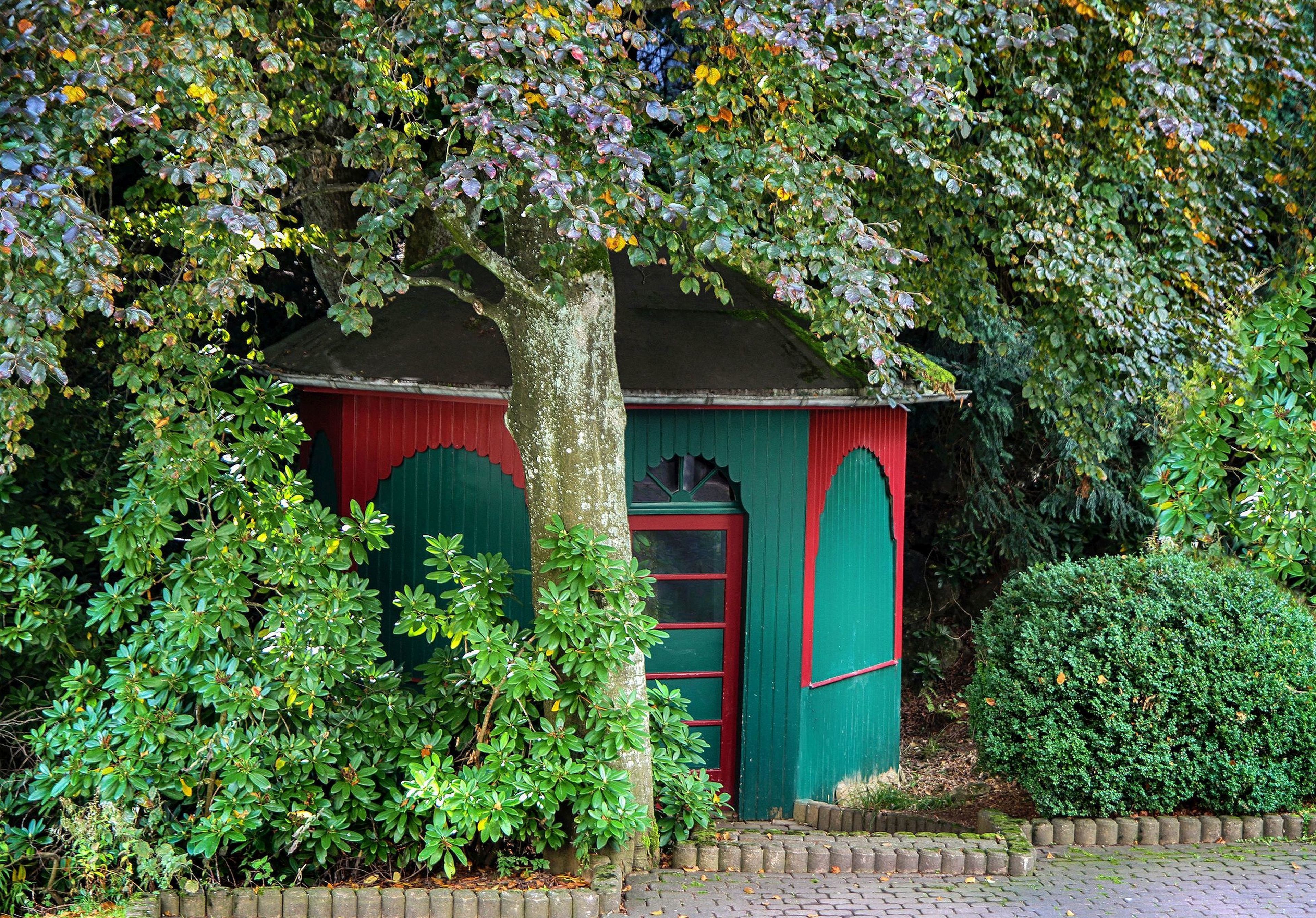A small, red and green shed-like structure surrounded by lush greenery.
